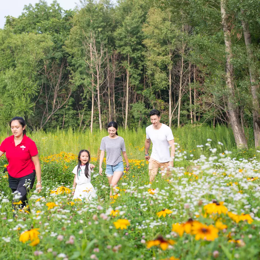 Yabuli All Inclusive Resorts In China Club Med yabuli-all-inclusive-resorts-in-china-club-med