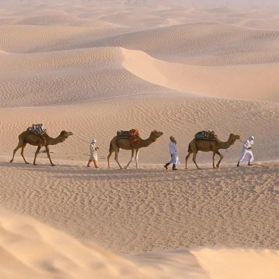 Tunisia Travel Allinclusive Holidays Club Med