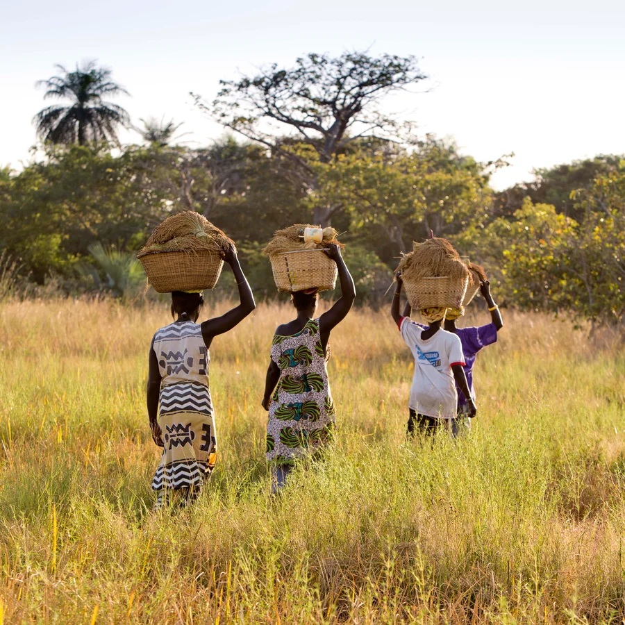 Senegal Holidays All inclusive Family Holidays Club Med senegal-holidays-all-inclusive-family-holidays-club-med