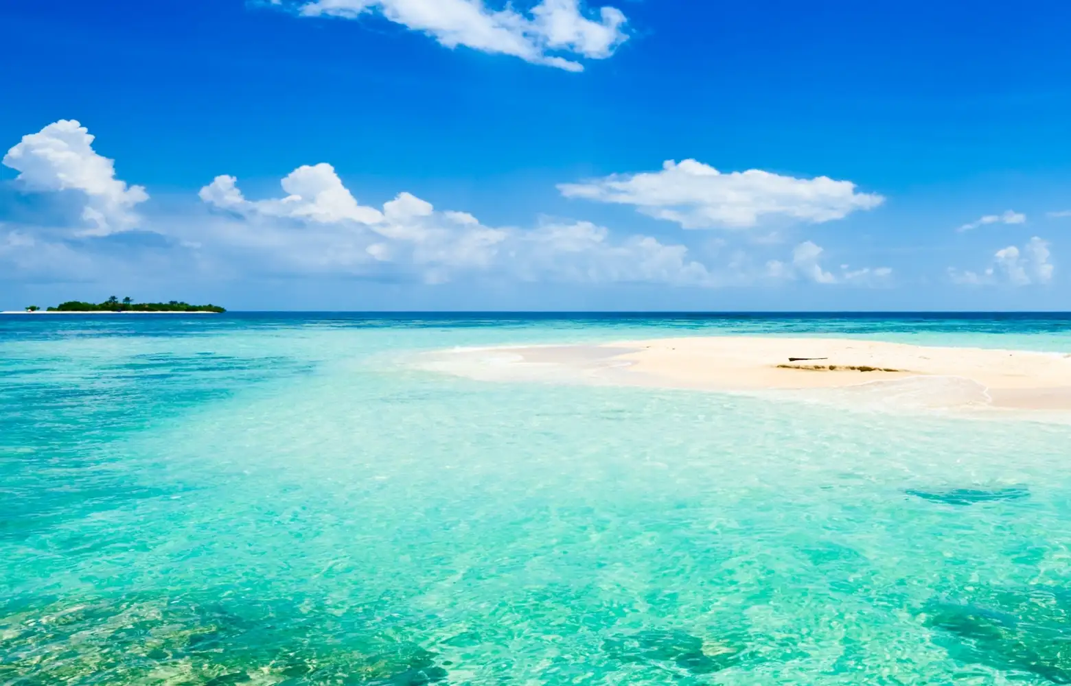 The Bahamas | All-Inclusive Luxury Vacations | Club Med