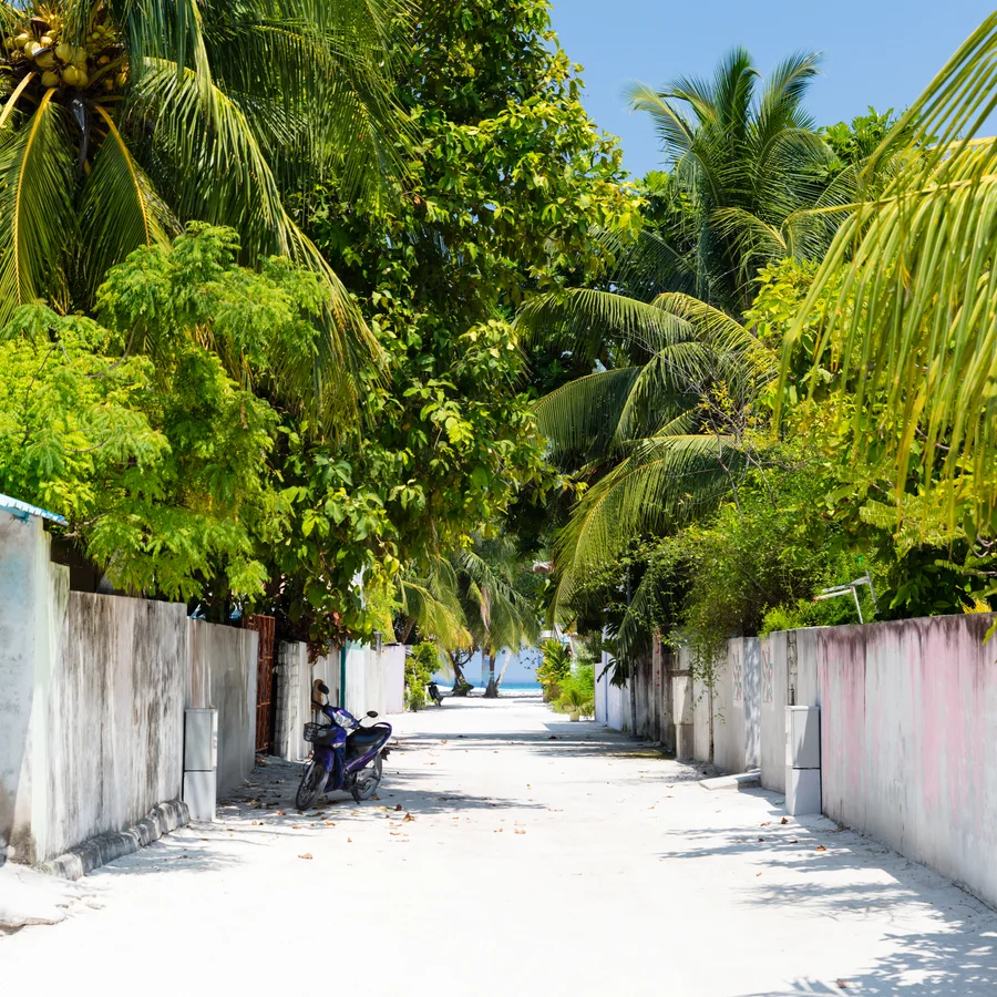 ¿Qué hacer en las Maldivas? Actividades en las Maldivas | Club Med