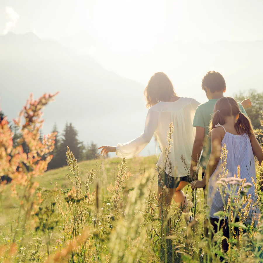 All'estero Con Cani, Gatti E Furetti? Serve Il Passaporto Sanitario - Foto 3